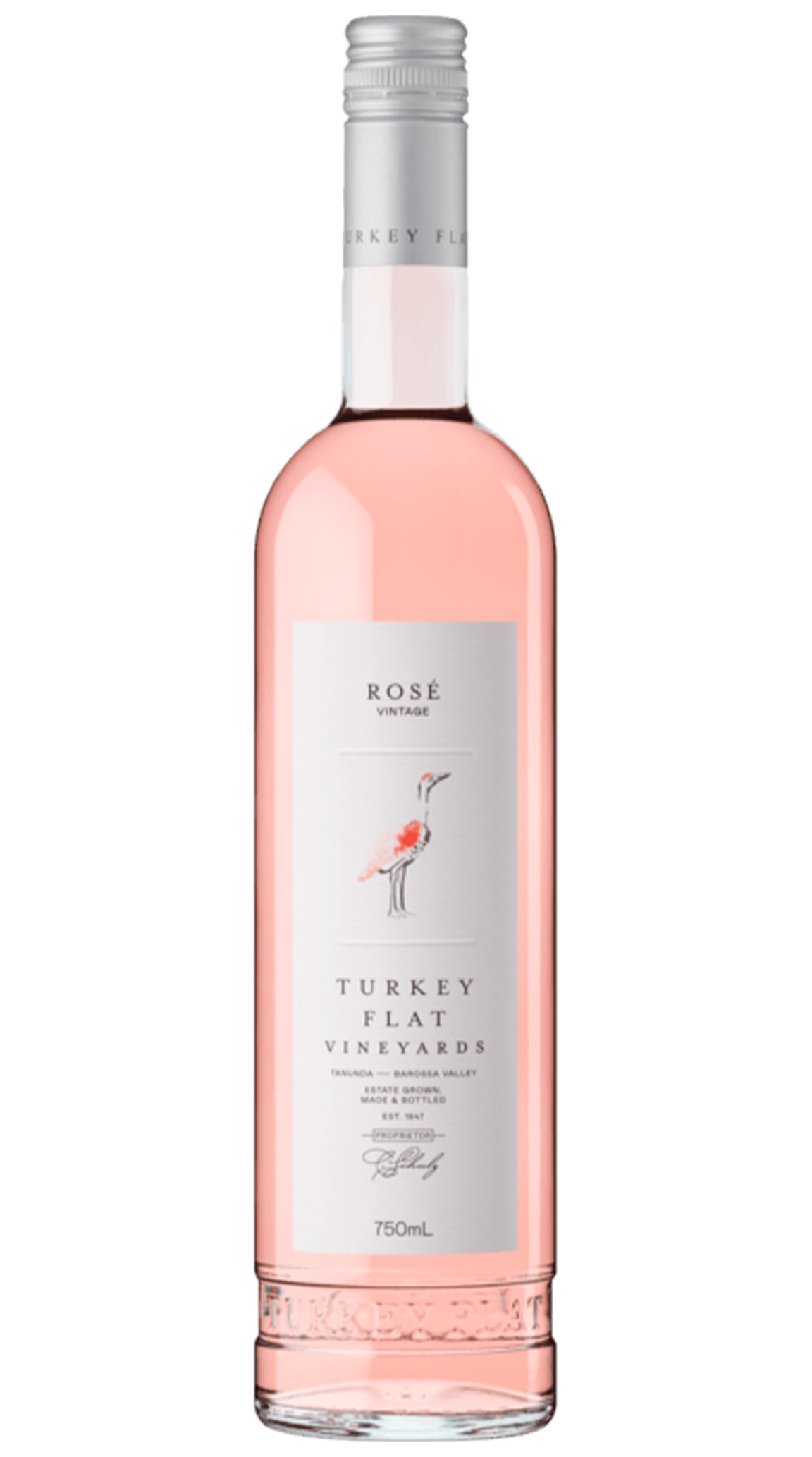 Turkey Flat Rose 2023